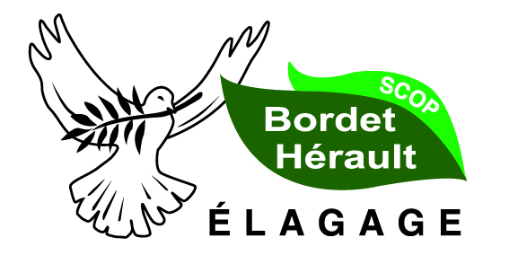 Logo de la société Bordet Hérault Élagage